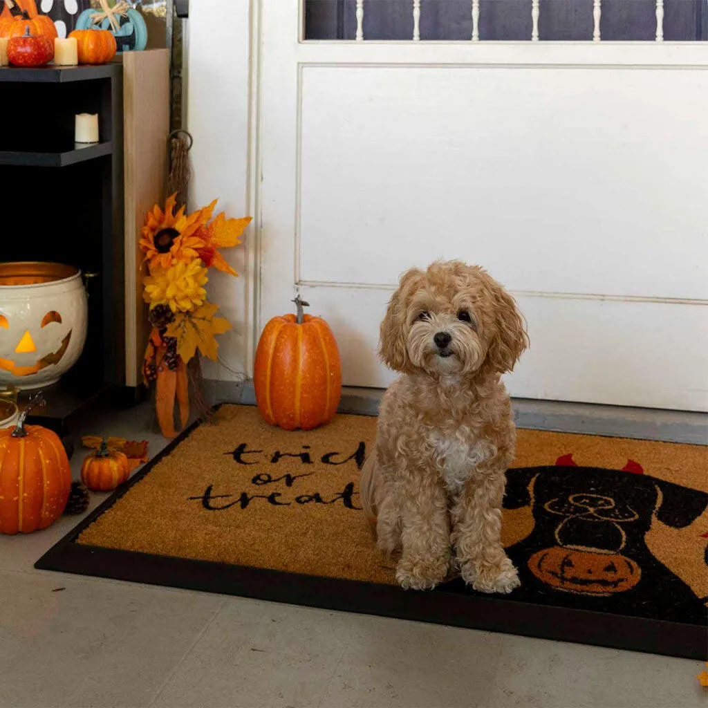 4 Cats & Dogs Meowtini Home Rectangular Entrance Mat