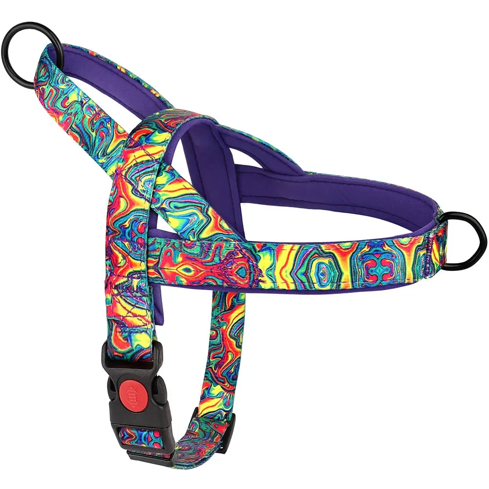 Adjustable No-Pull Dog Harness with Reflective Padding