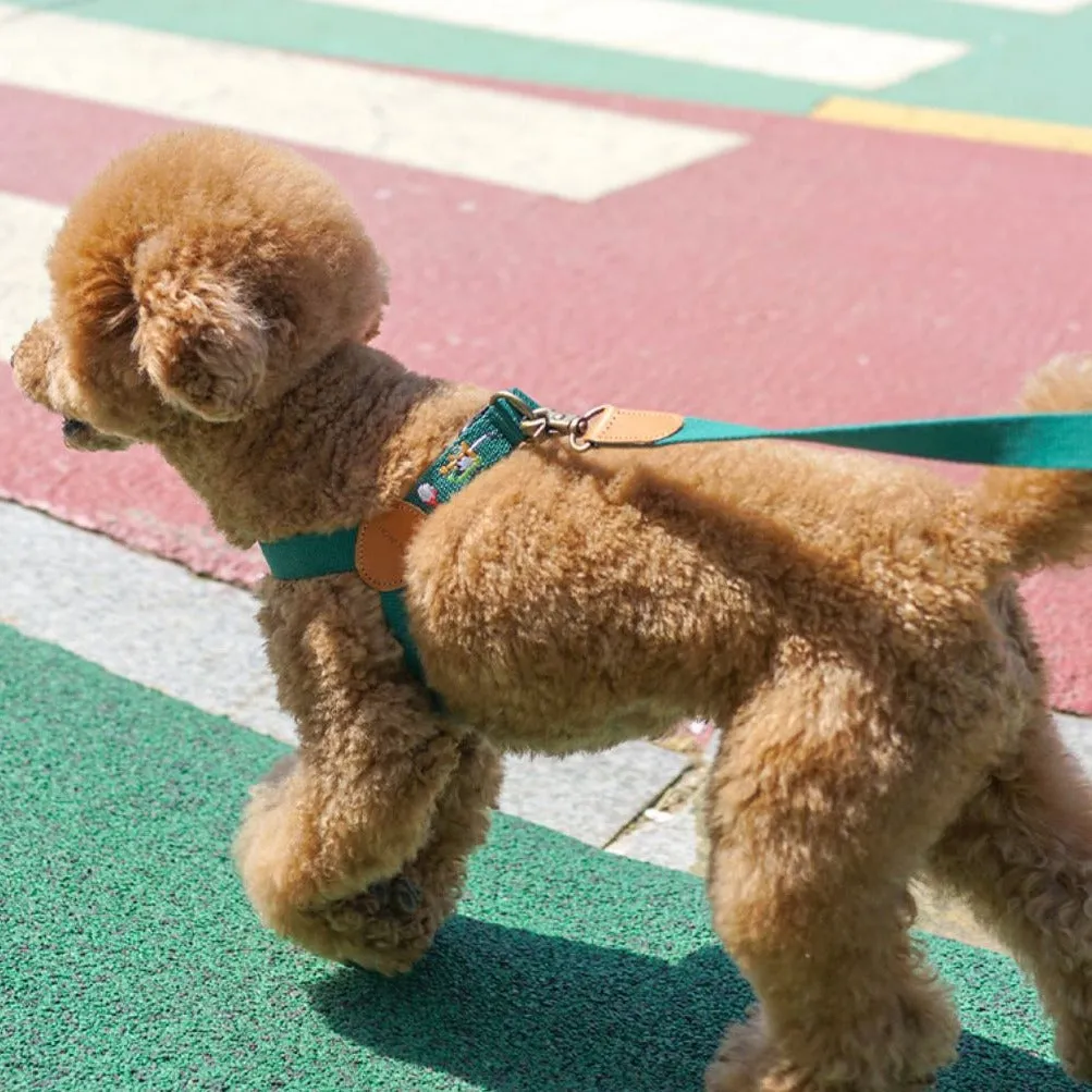 Adventure Harness Birdie