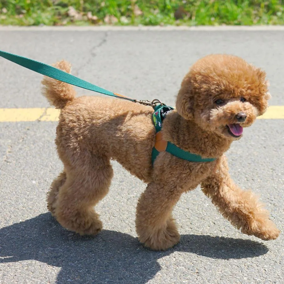 Adventure Harness Birdie