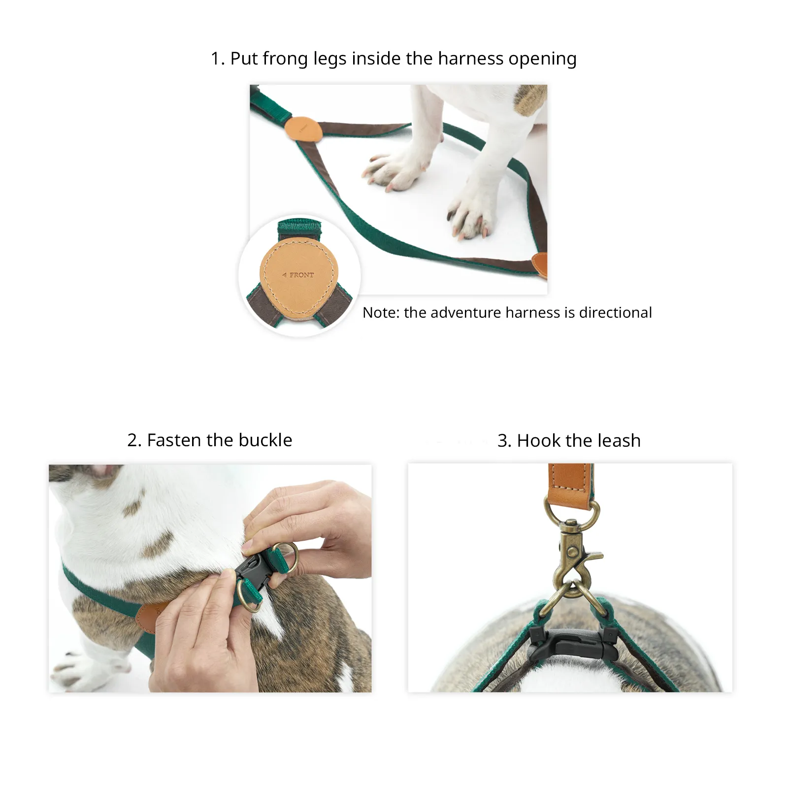 Adventure Harness Dunk