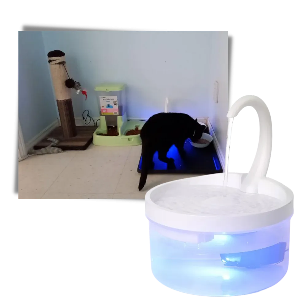 Auto water fountain for cat with LED light