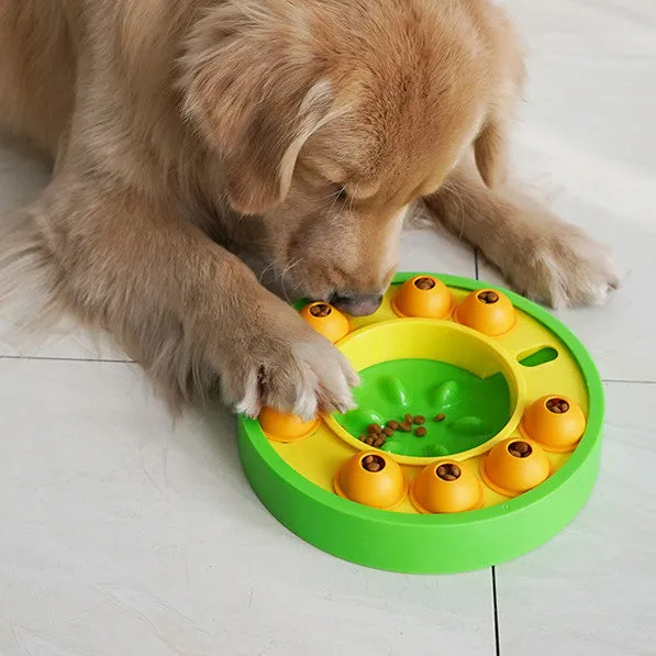 Brainy Bowl Pet Food Dispenser and Slow Feeder | Brodtica.com