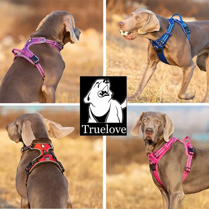 Breathable No Pull Dog Harness with Reflectors, L - Orange