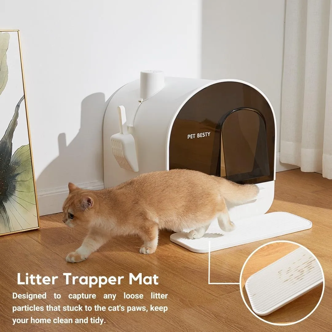 Cat Litter Box