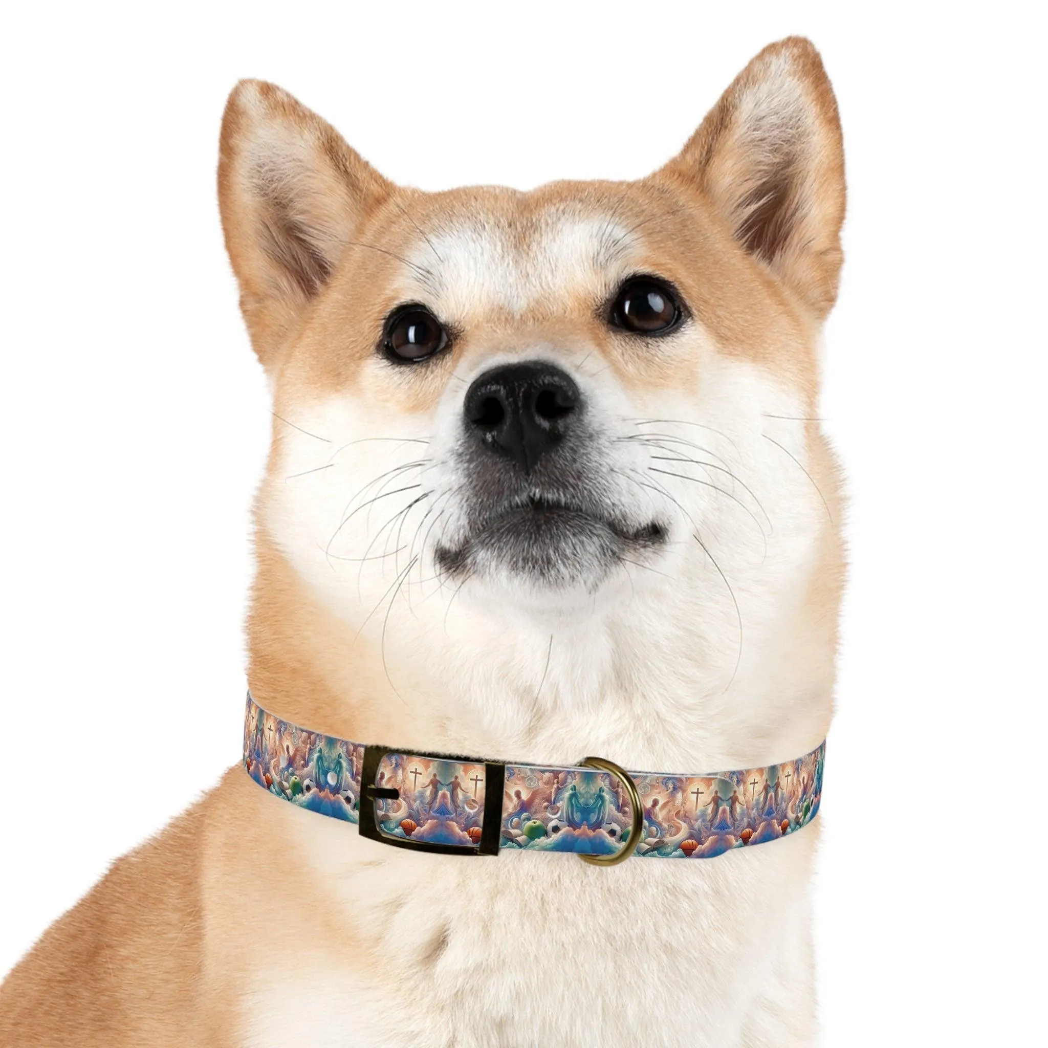 Cloudside Guardian Champions Dog Collar