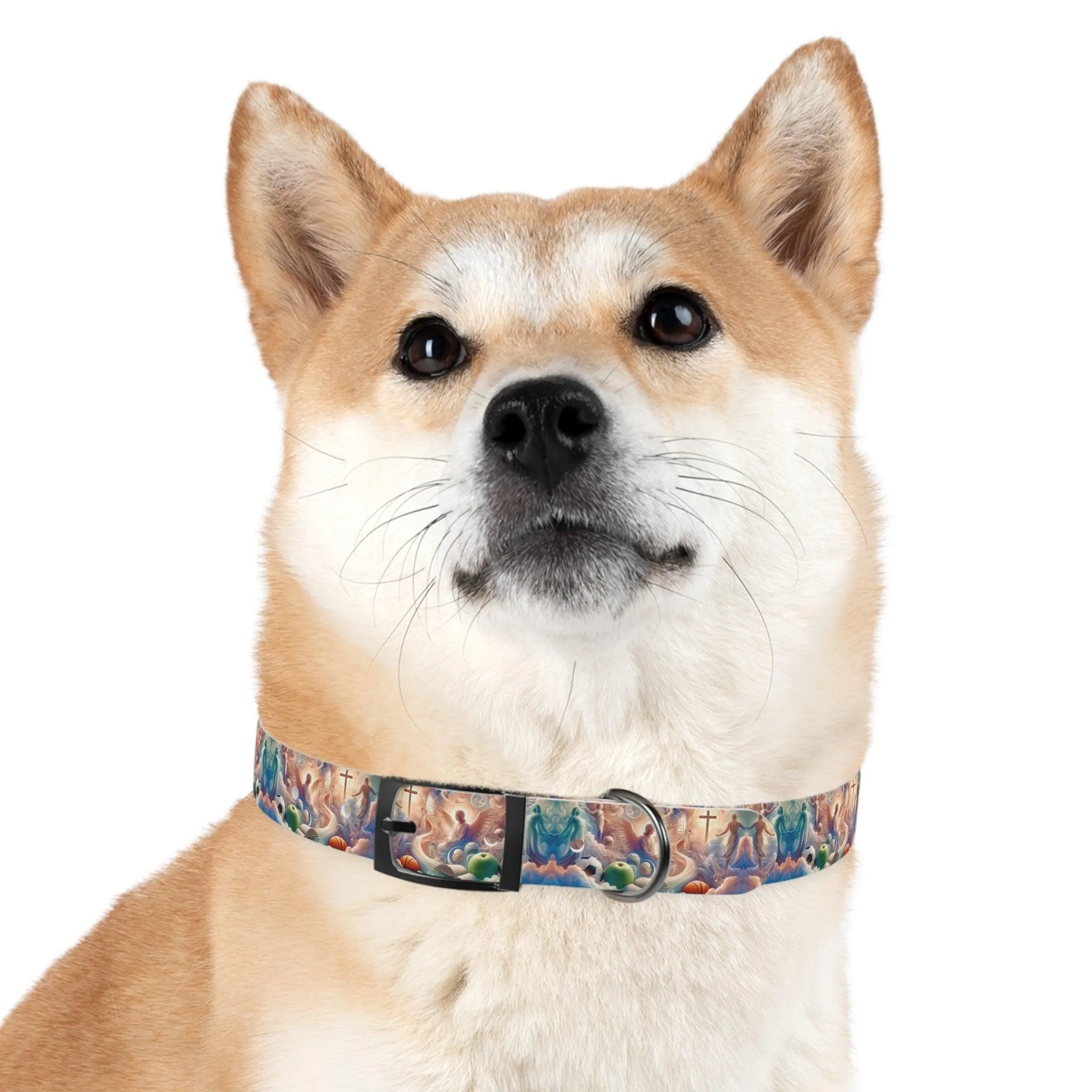Cloudside Guardian Champions Dog Collar