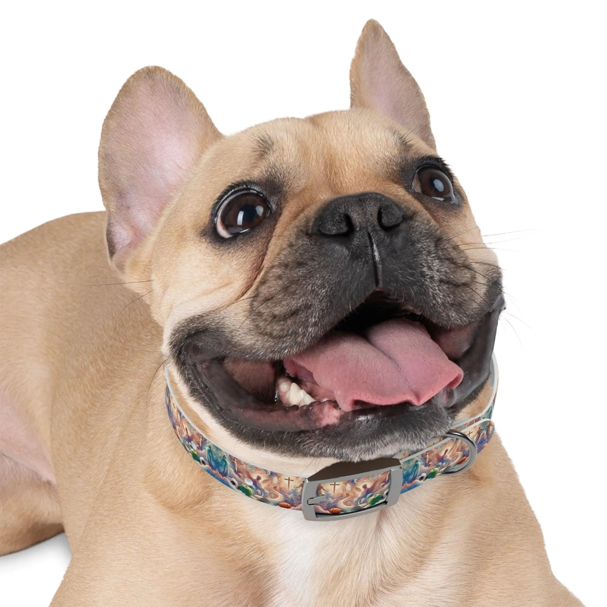 Cloudside Guardian Champions Dog Collar