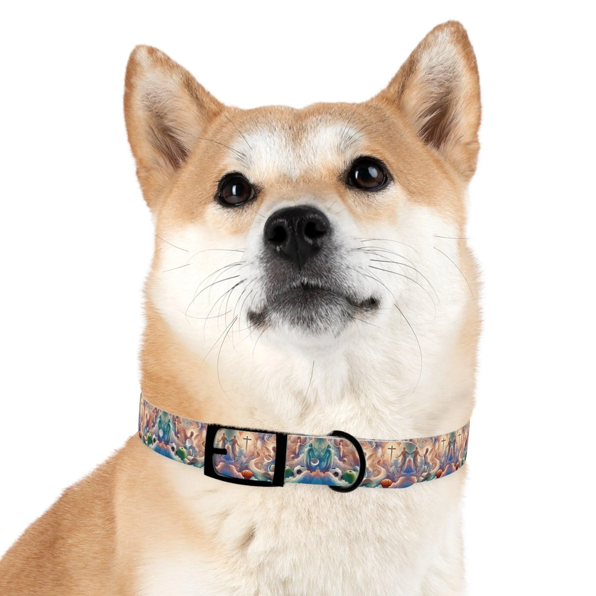 Cloudside Guardian Champions Dog Collar