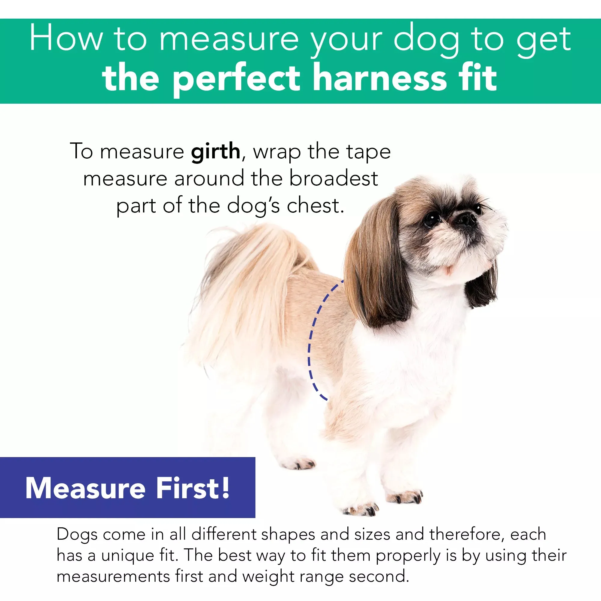 Coastal Pet Products Li'l Pals Comfort Mesh Dog Harness in Orchid