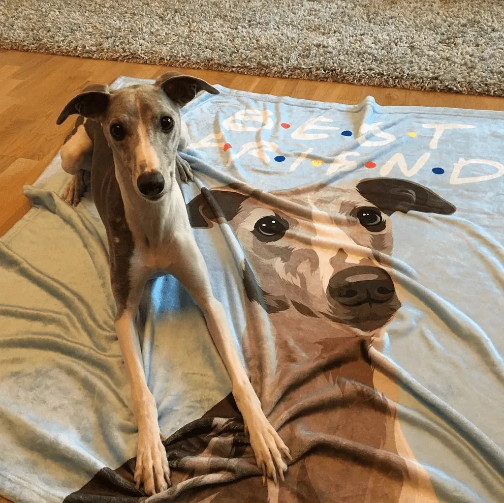 Custom Dog Blankets Personalized Pet Photo Blankets Painted Art Portrait Fleece Blanket Best Gift 2021 Pet Portrait Blanket Black Dog
