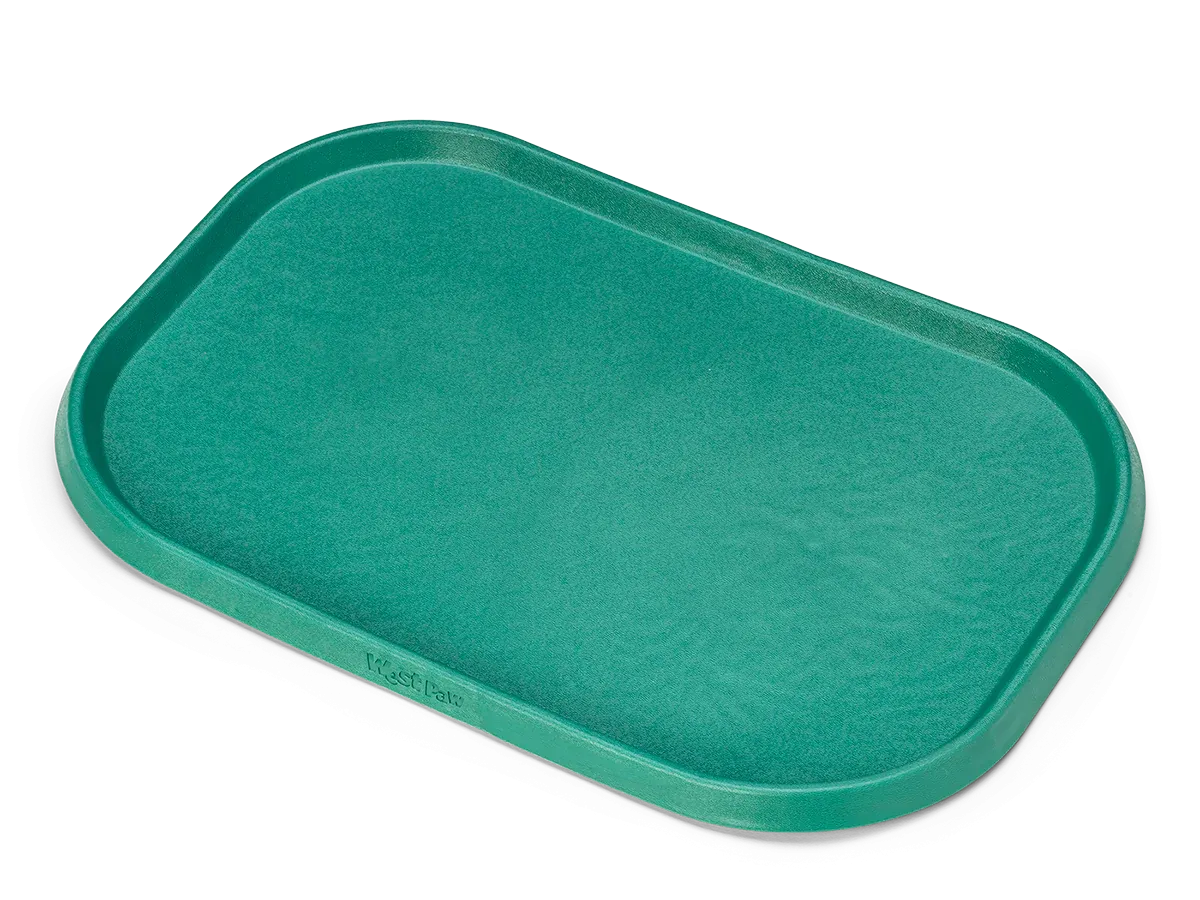 Dog Feeding Mat