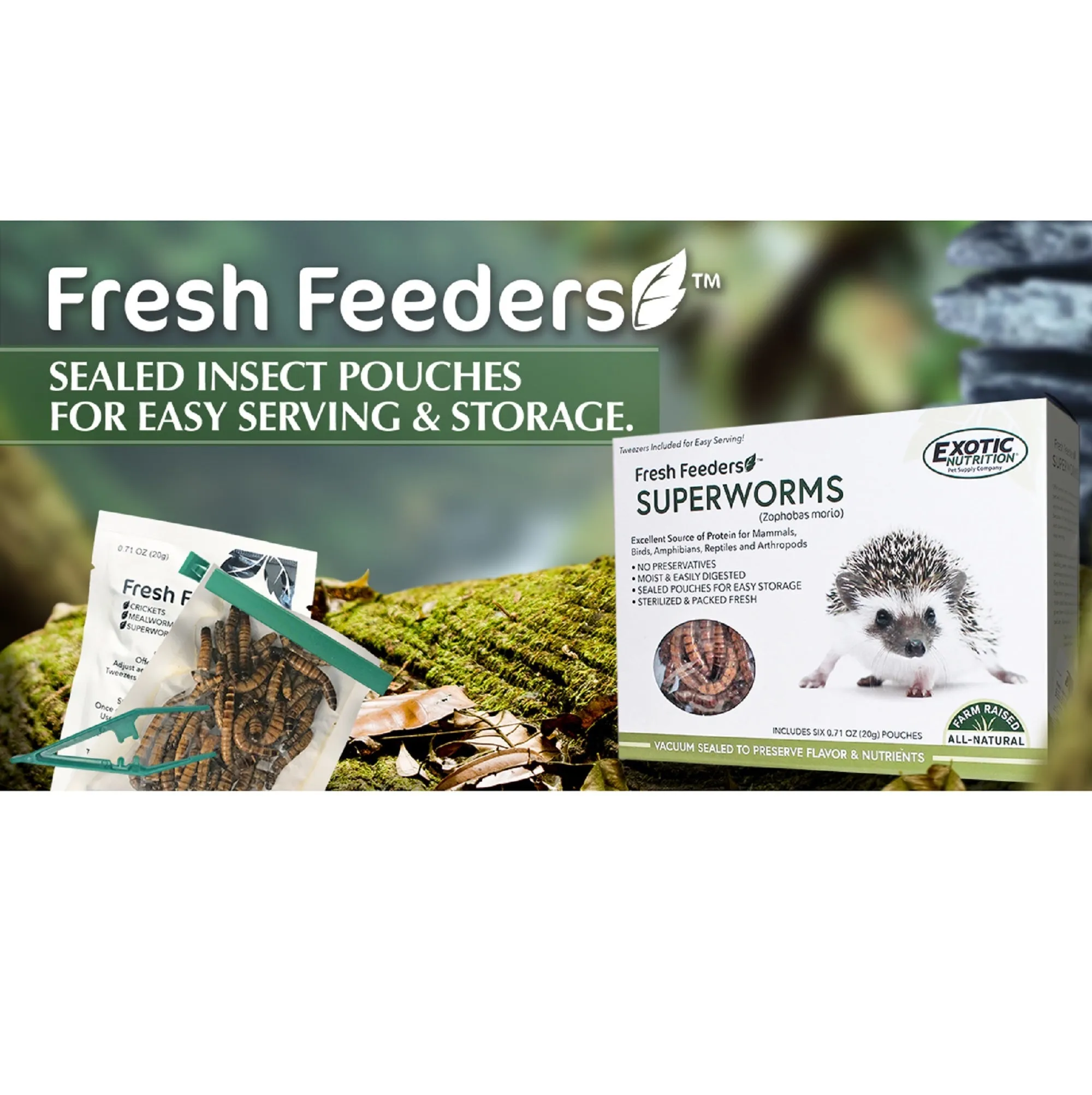 Fresh Feeders