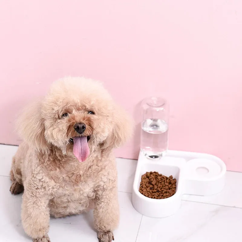 Heart-Shaped Pet Corner Bowl