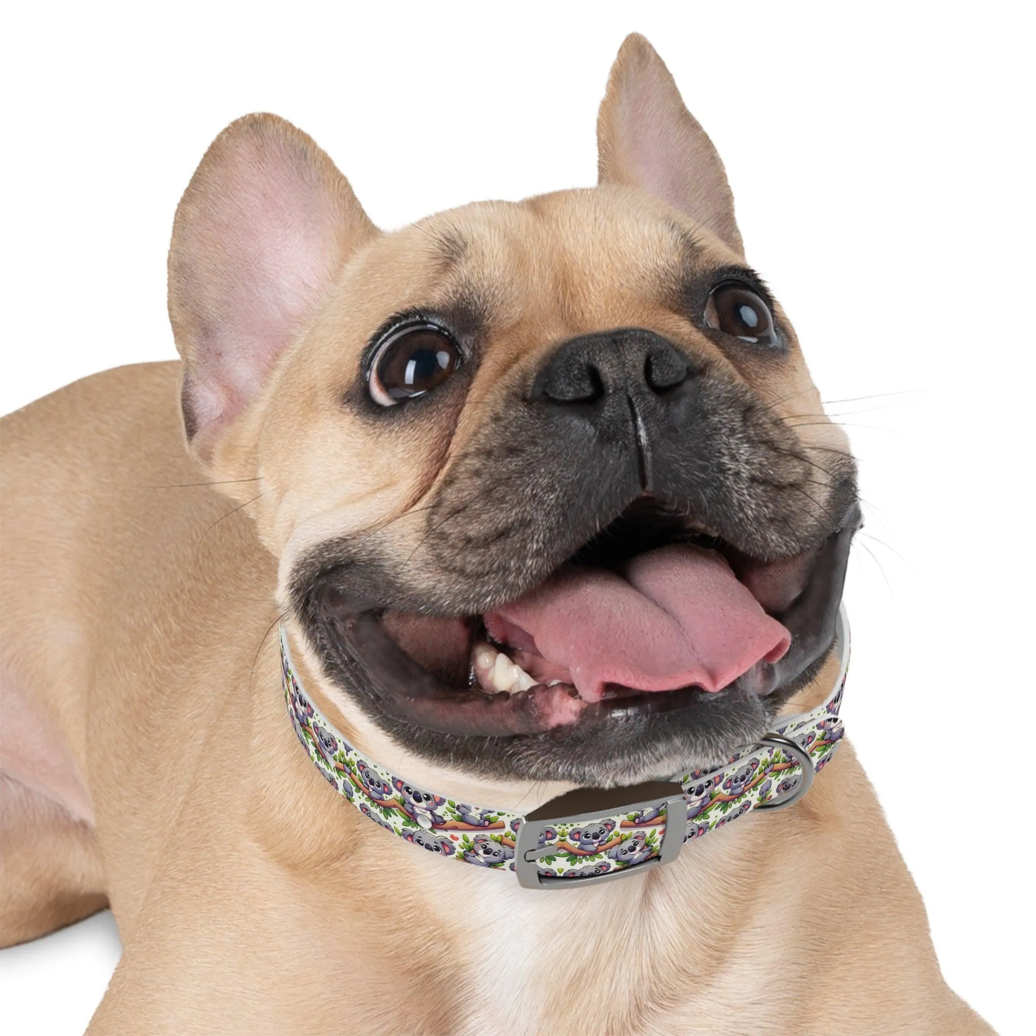 Koala Pals Dog Collar