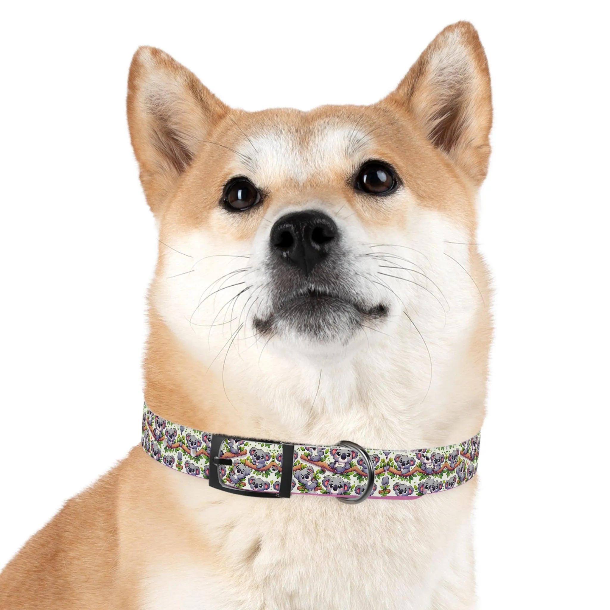 Koala Pals Dog Collar