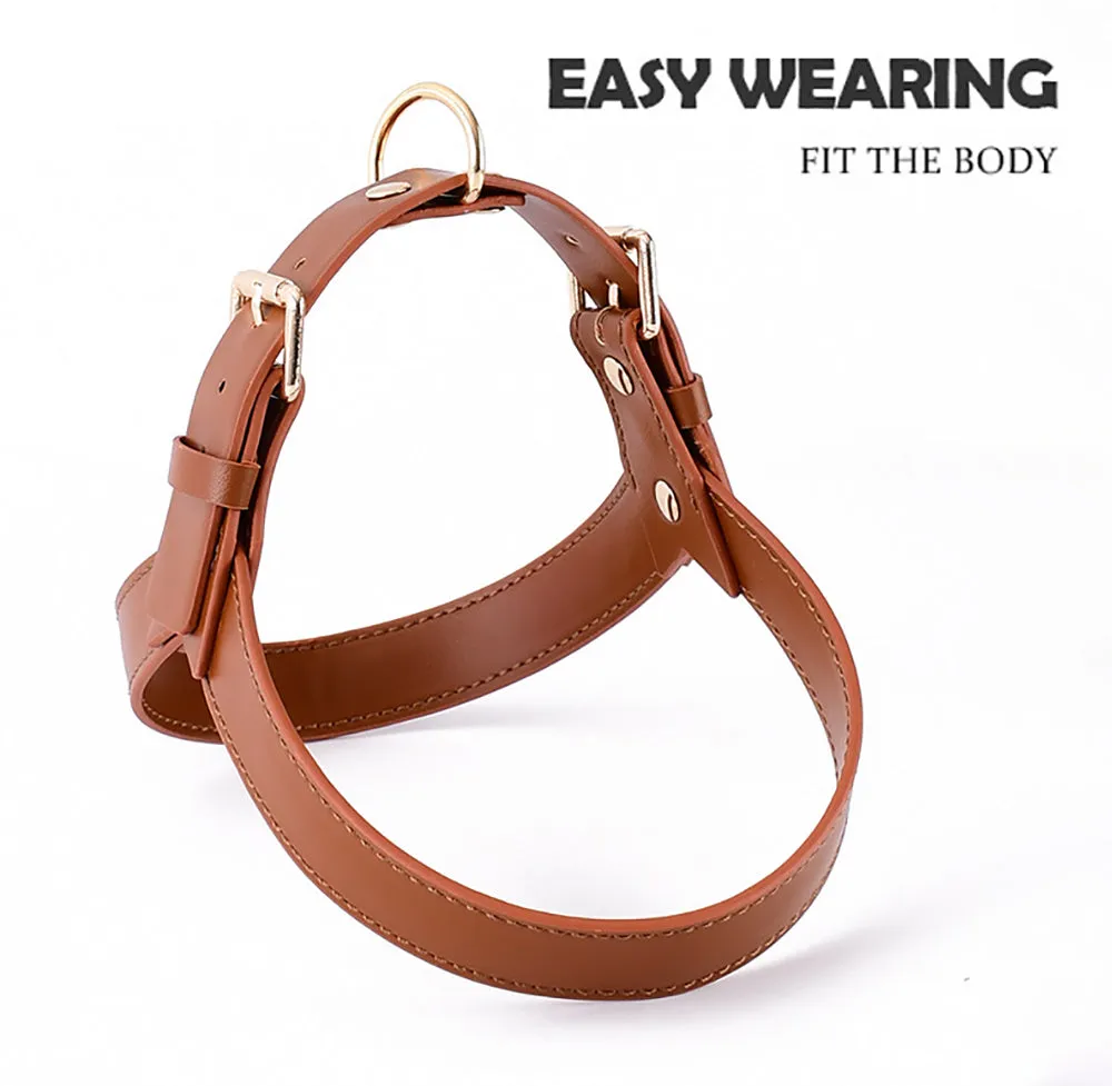 Leather Dog Harness & Leash Set