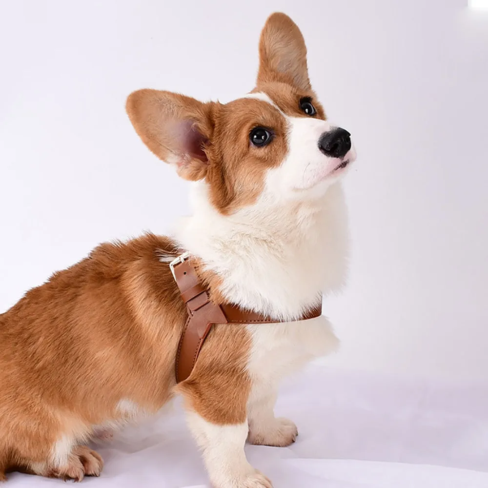 Leather Dog Harness & Leash Set