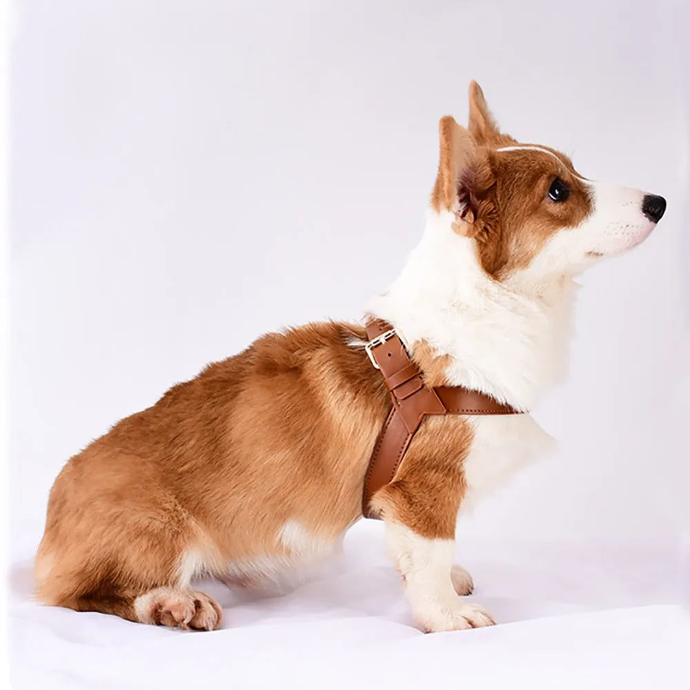 Leather Dog Harness & Leash Set