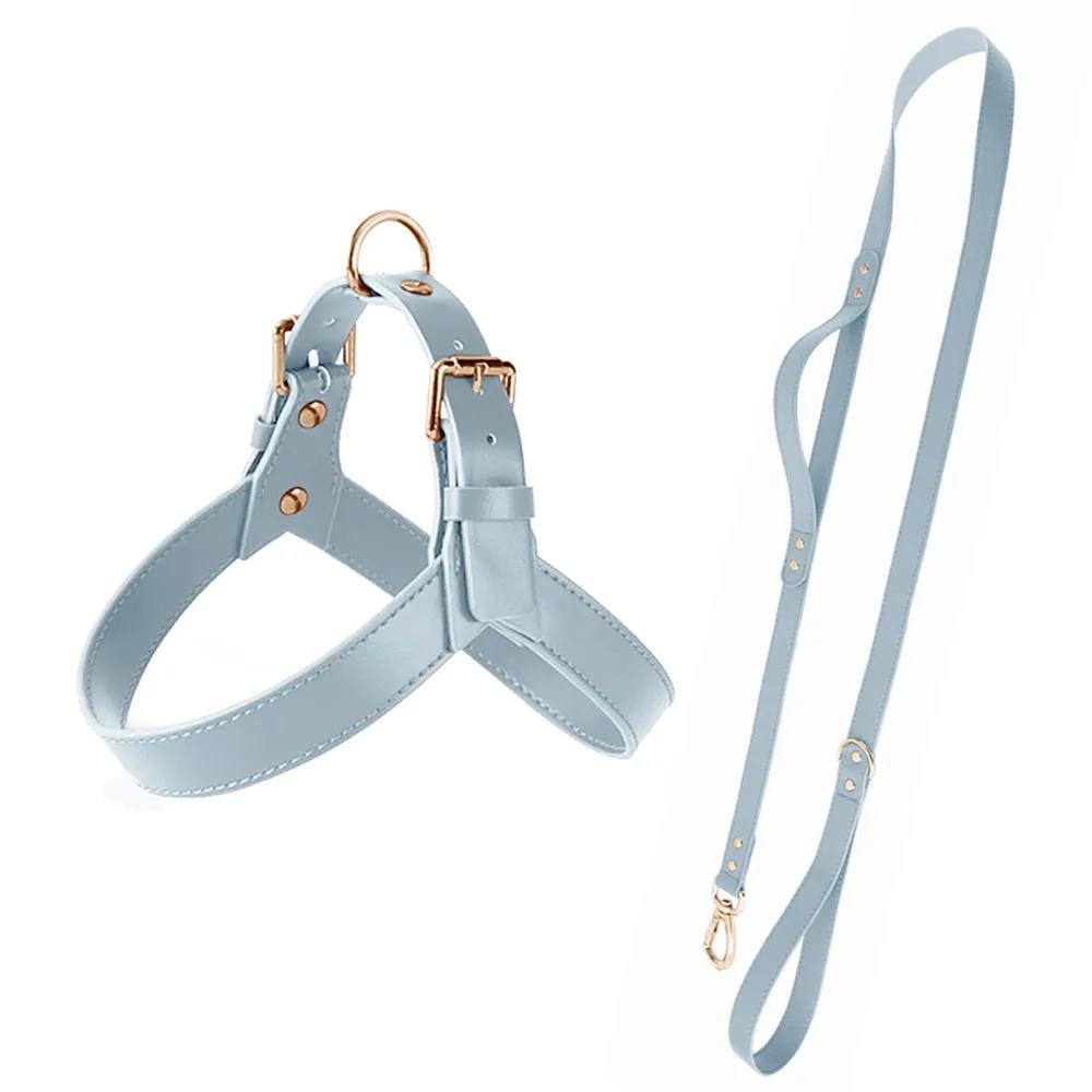 Leather Dog Harness & Leash Set