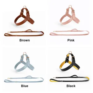 Leather Dog Harness & Leash Set