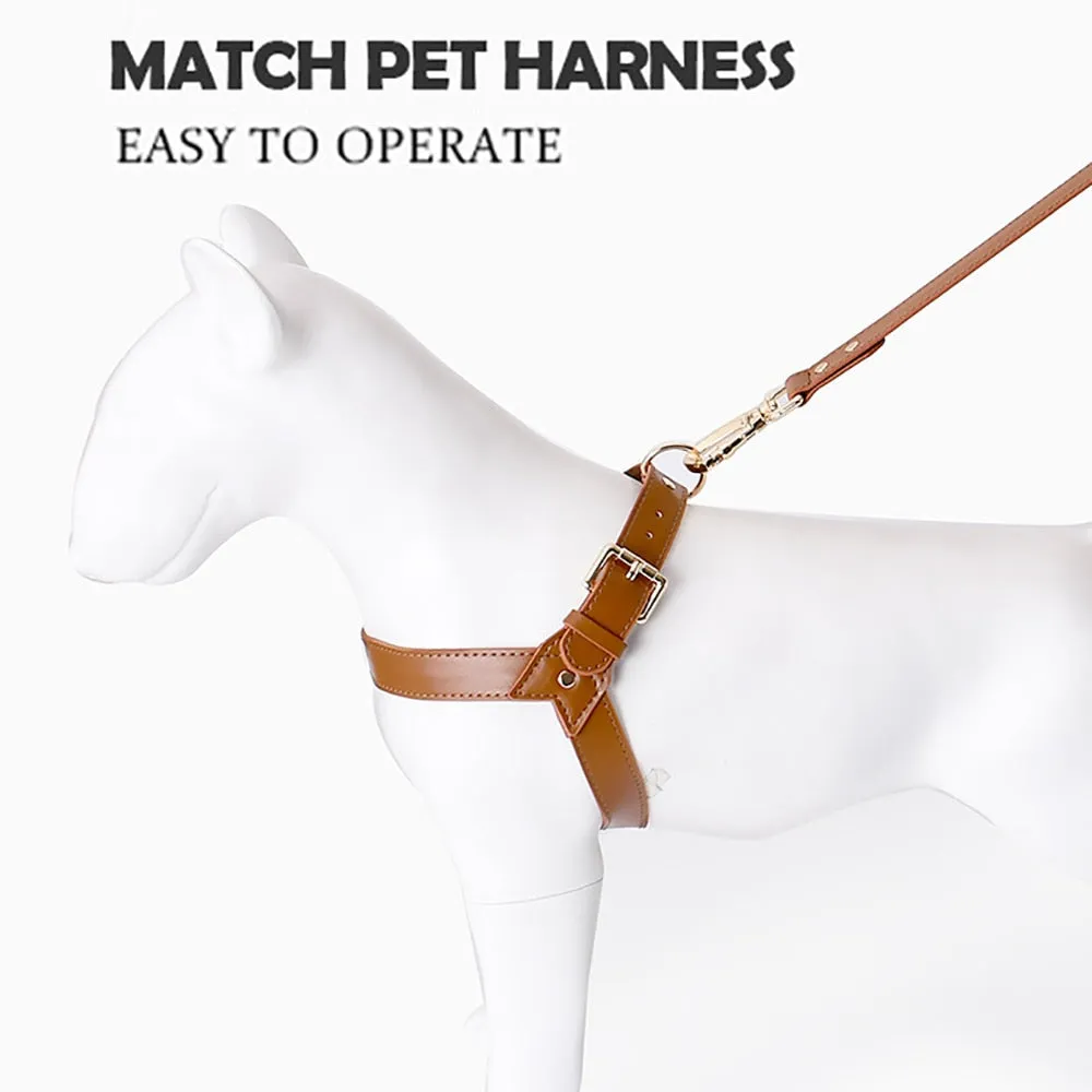 Leather Dog Harness & Leash Set