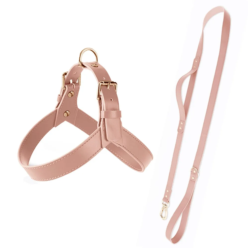 Leather Dog Harness & Leash Set