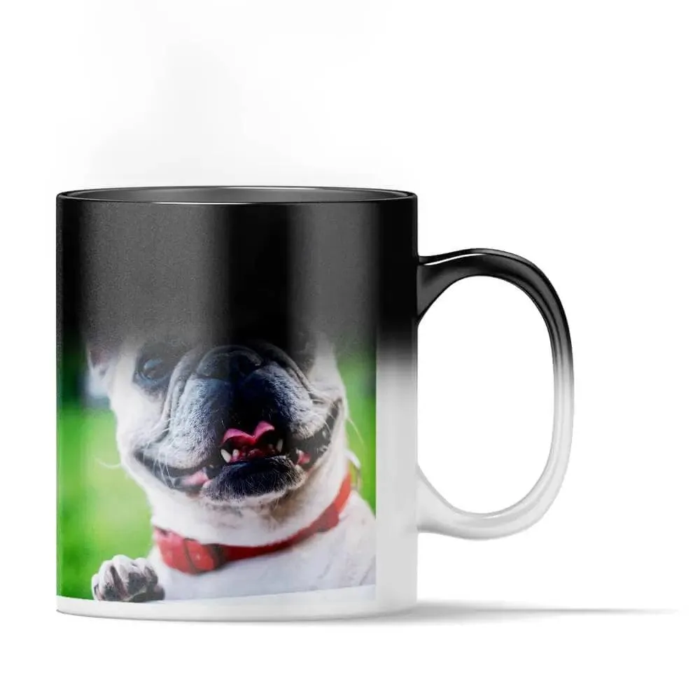 Love Has Four Paws Pet Collage Heat Activated Magic Mug