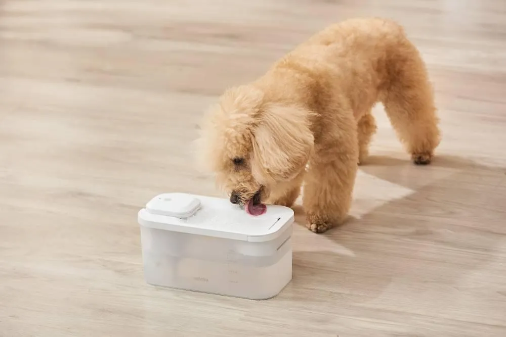 Michu Wireless Cat Water Fountain - Battery Operated Dispenser for Healthy Hydration