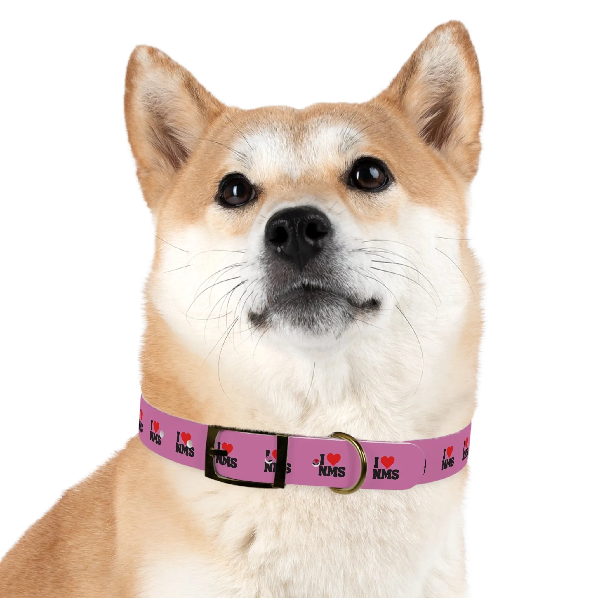 NMS I LOVE NMS Dog Collar PINK