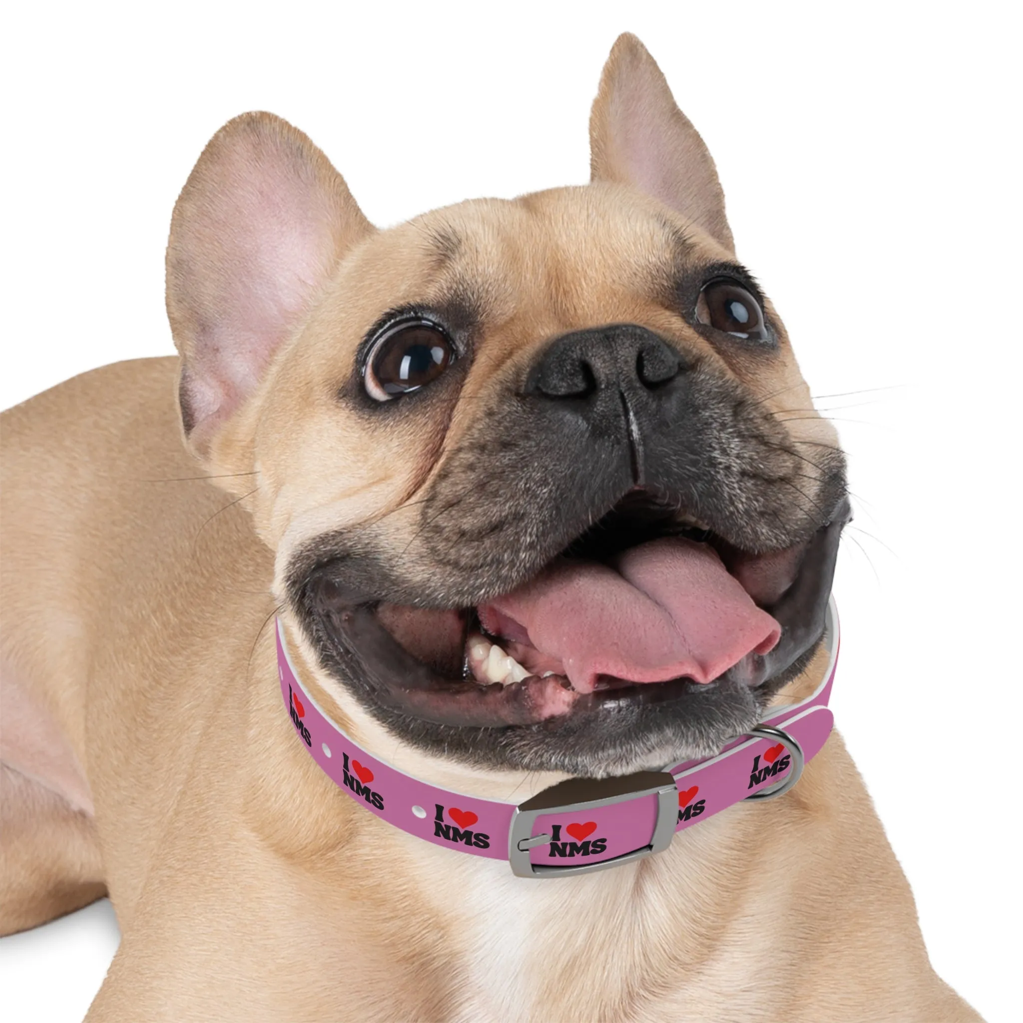 NMS I LOVE NMS Dog Collar PINK
