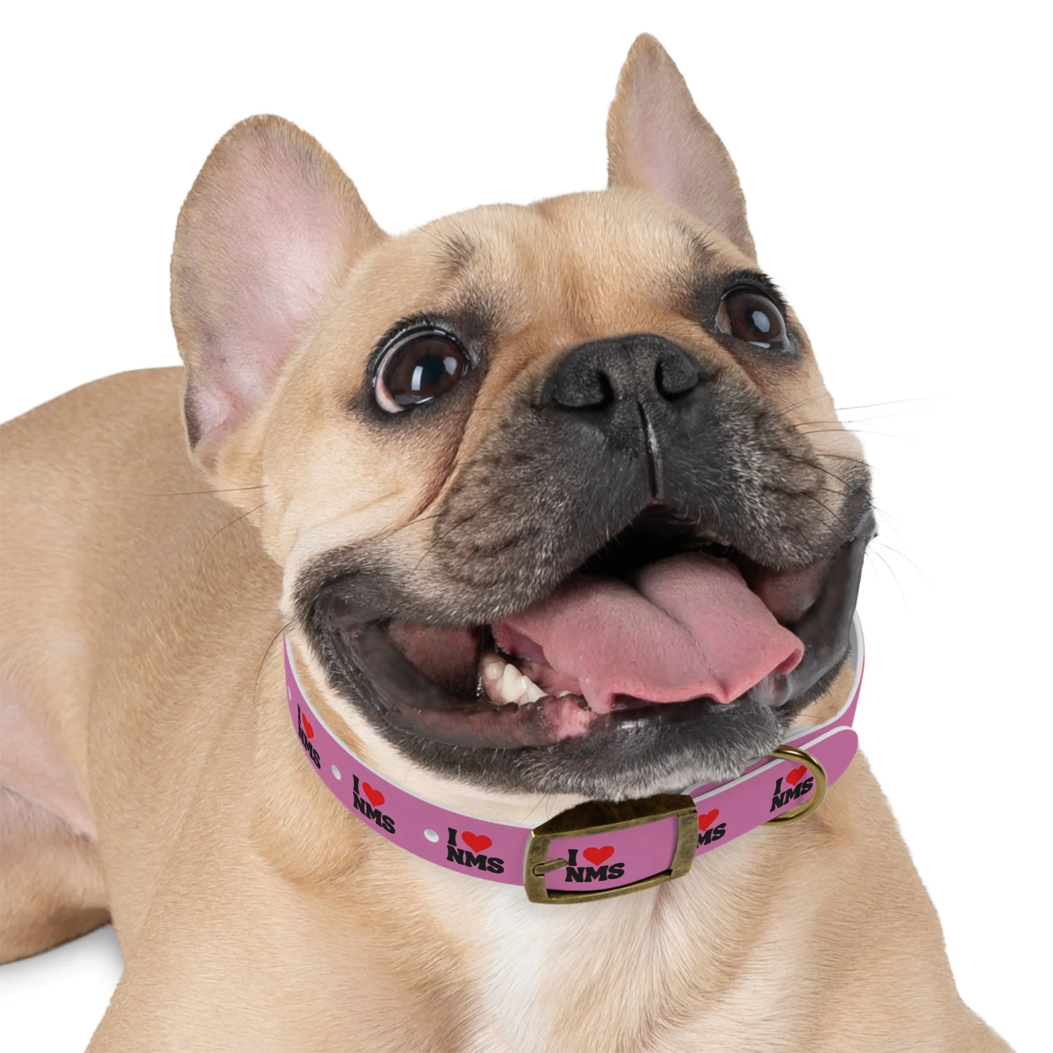 NMS I LOVE NMS Dog Collar PINK