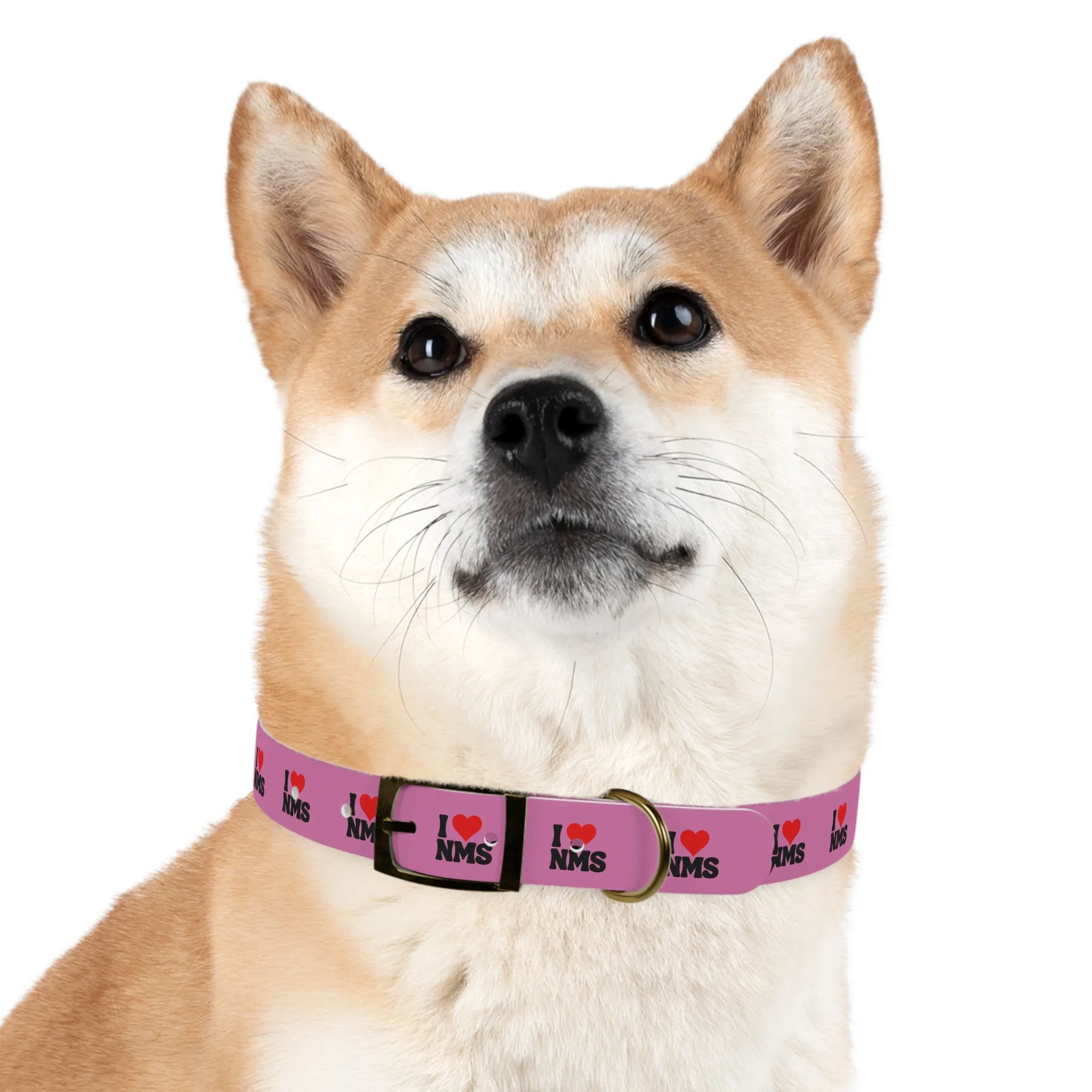 NMS I LOVE NMS Dog Collar PINK