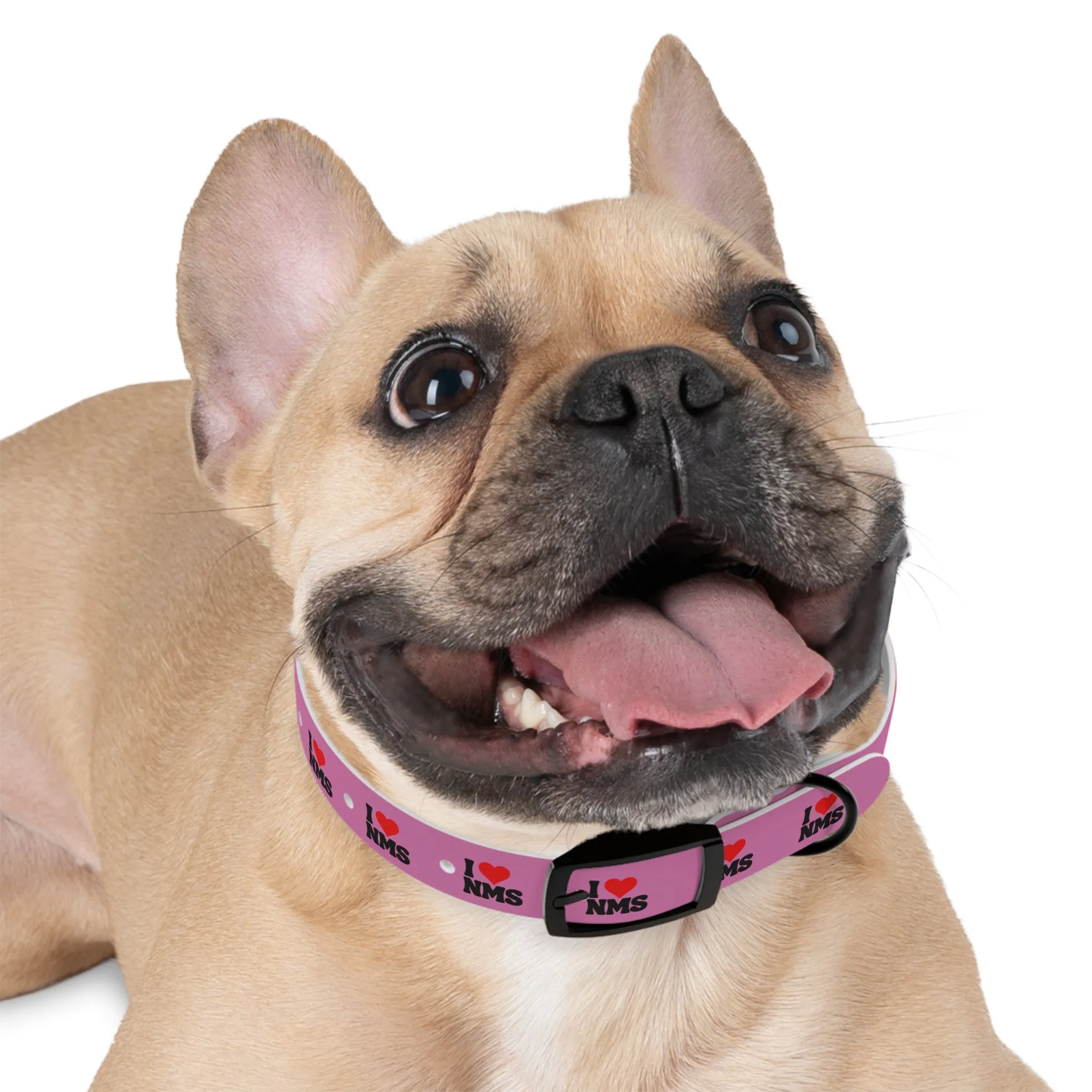 NMS I LOVE NMS Dog Collar PINK
