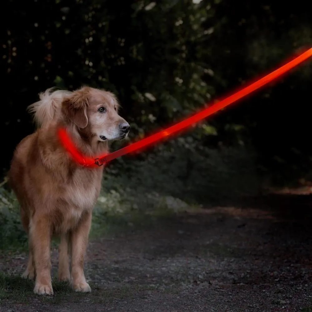 Nylon Webbing Rechargeable LED Dog Leash