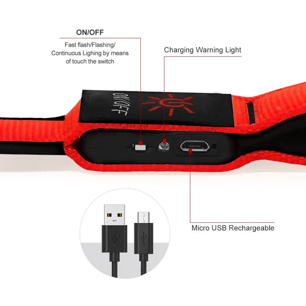 Nylon Webbing Rechargeable LED Dog Leash