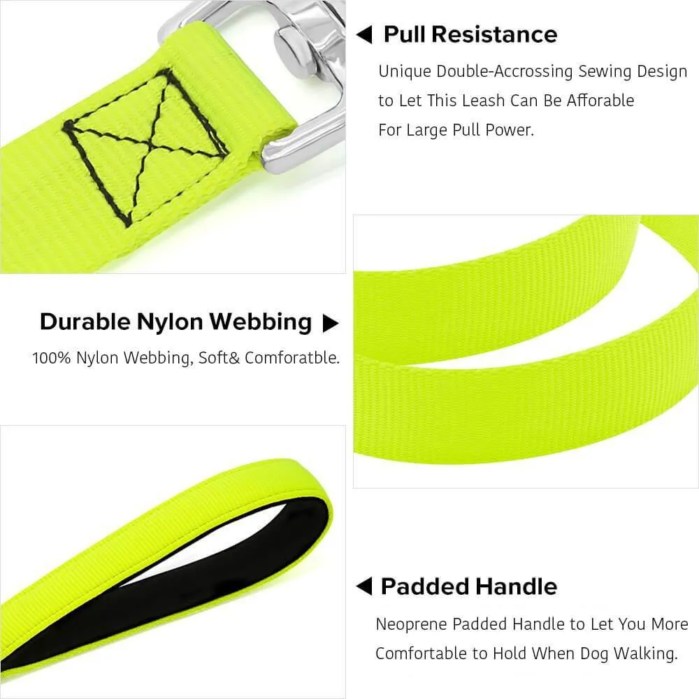 Nylon Webbing Rechargeable LED Dog Leash