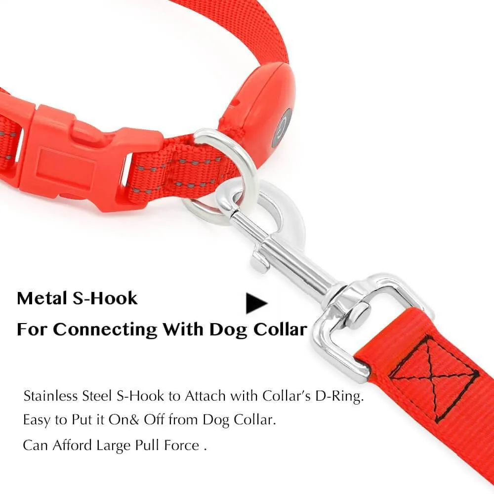 Nylon Webbing Rechargeable LED Dog Leash