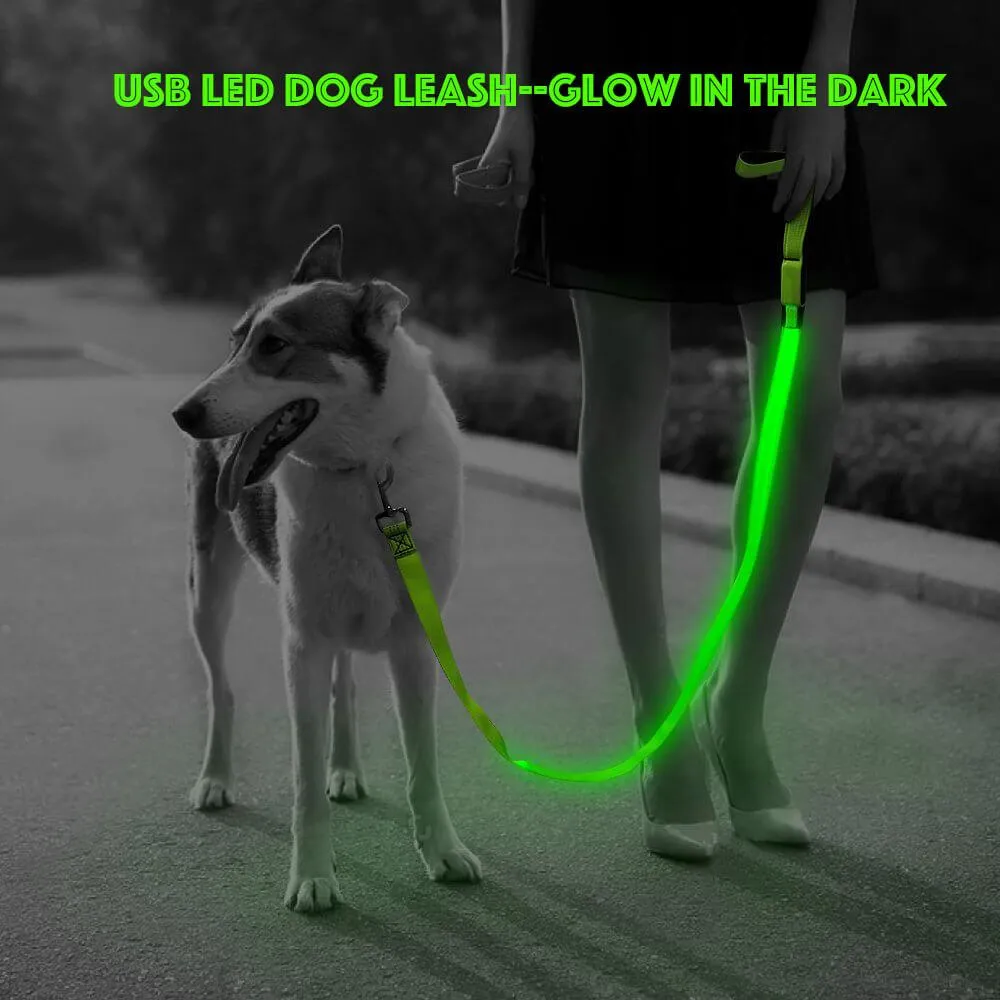 Nylon Webbing Rechargeable LED Dog Leash