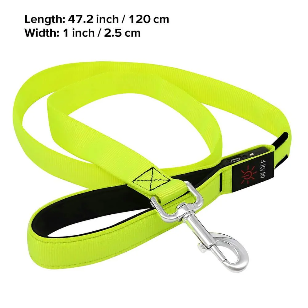 Nylon Webbing Rechargeable LED Dog Leash