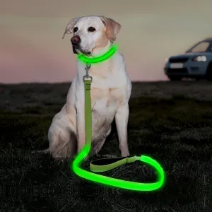 Nylon Webbing Rechargeable LED Dog Leash