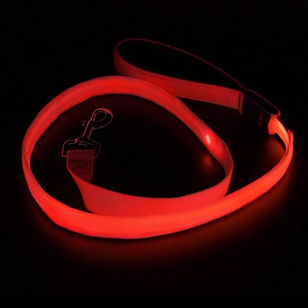 Nylon Webbing Rechargeable LED Dog Leash