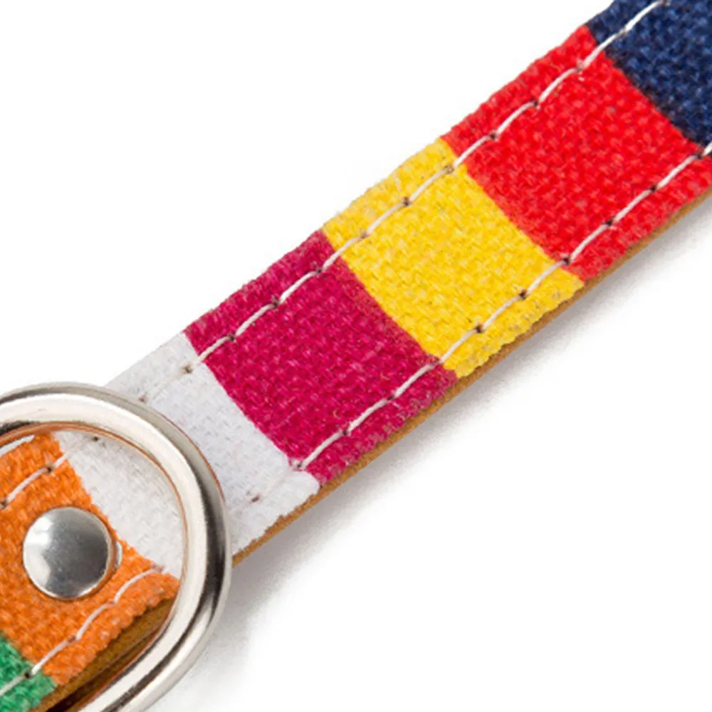PAWS ASIA Manufacturer Wholesale Pu Material Custom Personalized Stripe Adjustable Cheap Rainbow Dog Collar