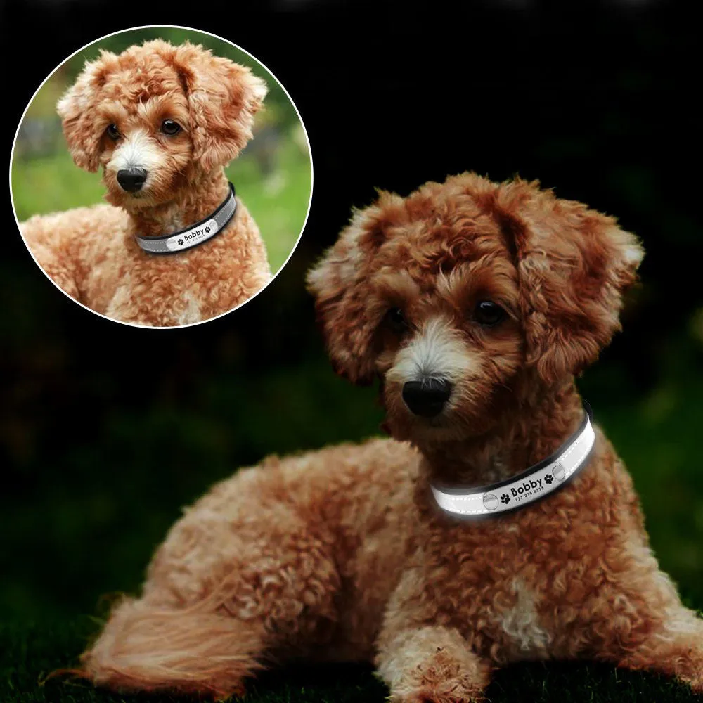 Personalized Dog Collar Reflective Leather ID Name Custom Engraved