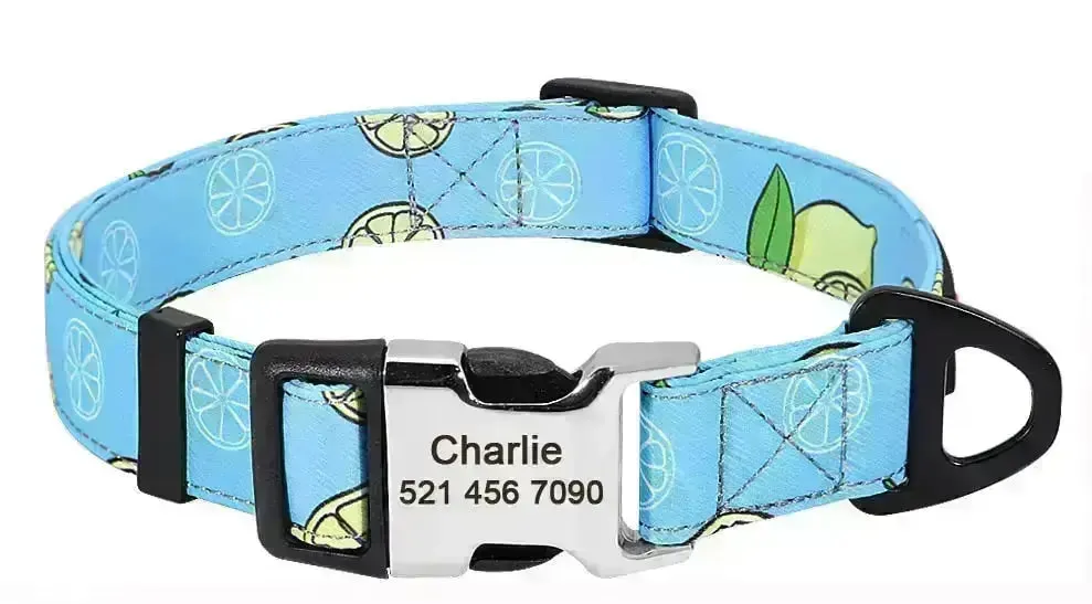 Personalized Dog Collar w/ Patterns - Engrave Your Pet's ID