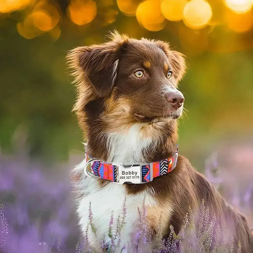 Personalized Dog Collar w/ Patterns - Engrave Your Pet's ID