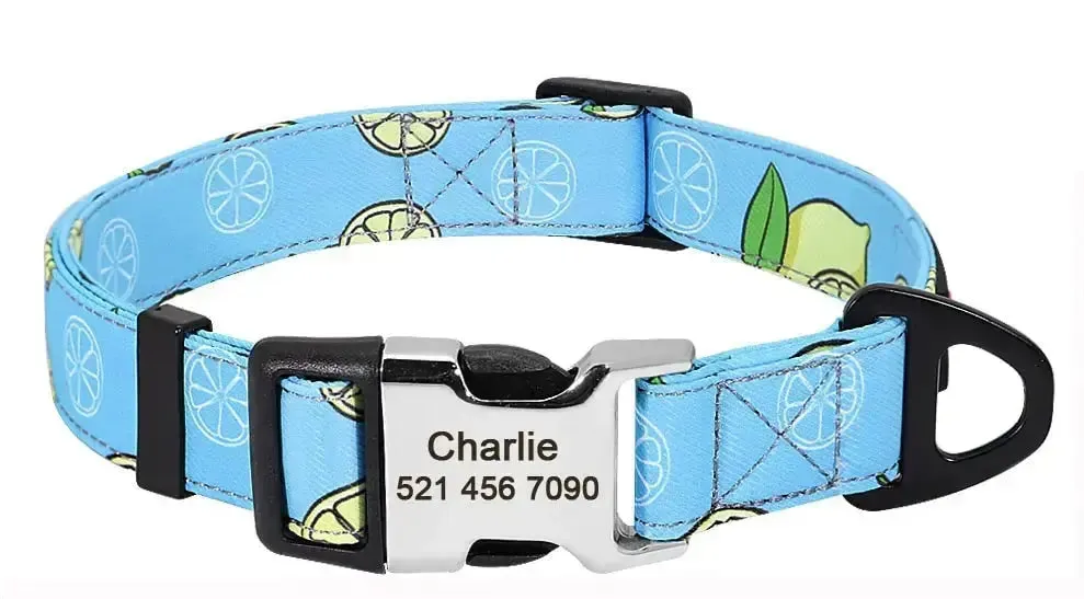 Personalized Dog Collar w/ Patterns - Engrave Your Pet's ID