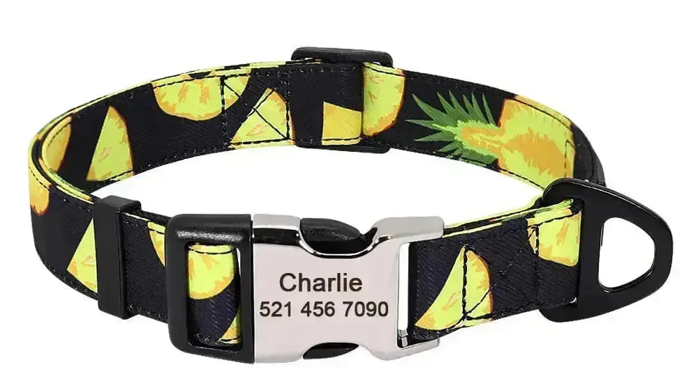 Personalized Dog Collar w/ Patterns - Engrave Your Pet's ID