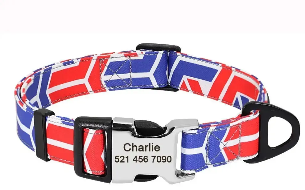 Personalized Dog Collar w/ Patterns - Engrave Your Pet's ID