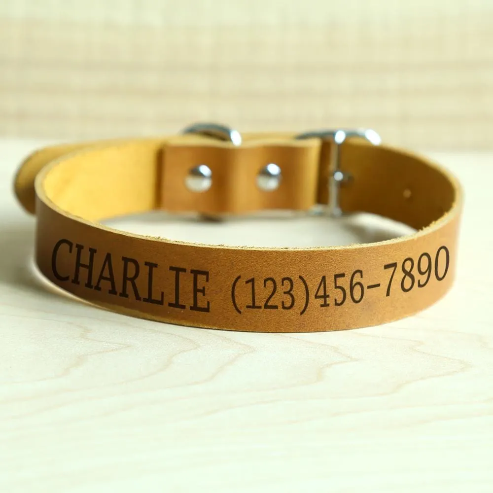 Personalized Genuine Leather Pet ID Collar